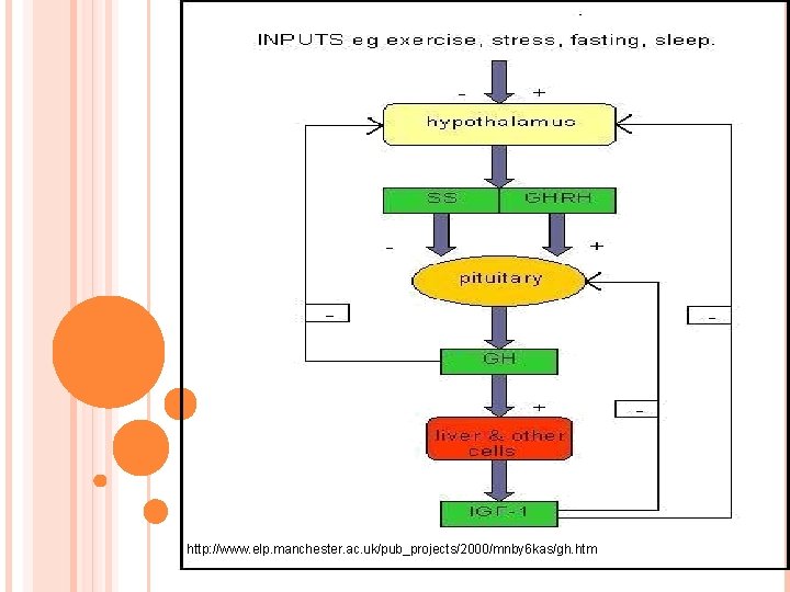 http: //www. elp. manchester. ac. uk/pub_projects/2000/mnby 6 kas/gh. htm 