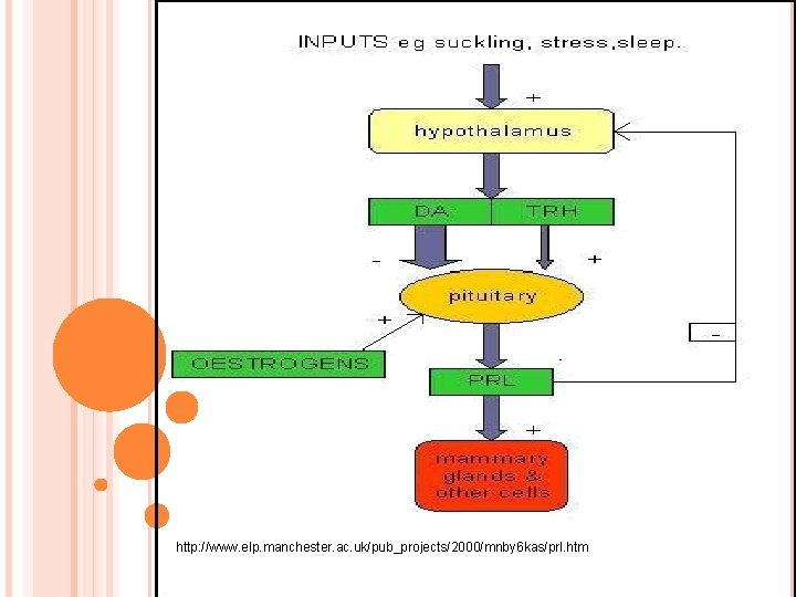 http: //www. elp. manchester. ac. uk/pub_projects/2000/mnby 6 kas/prl. htm 