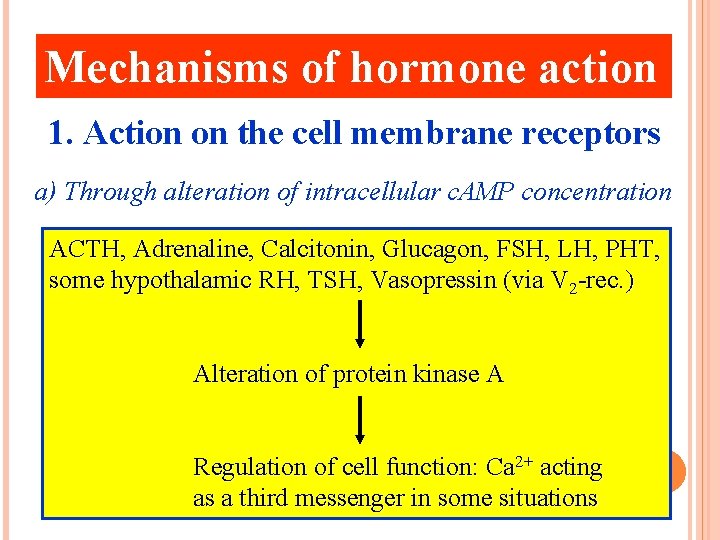 Mechanisms of hormone action 1. Action on the cell membrane receptors a) Through alteration