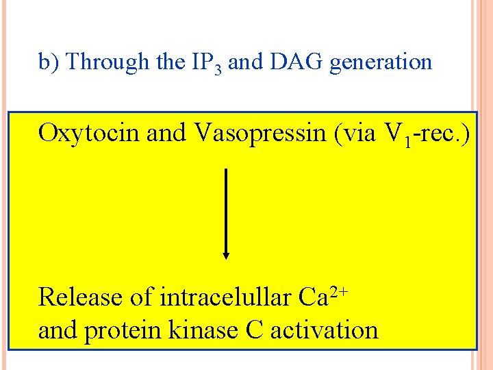 b) Through the IP 3 and DAG generation Oxytocin and Vasopressin (via V 1