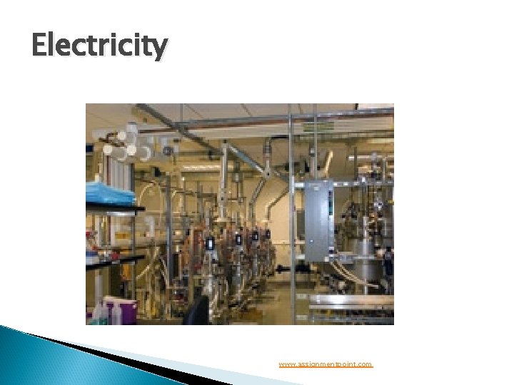 Electricity www. assignmentpoint. com 