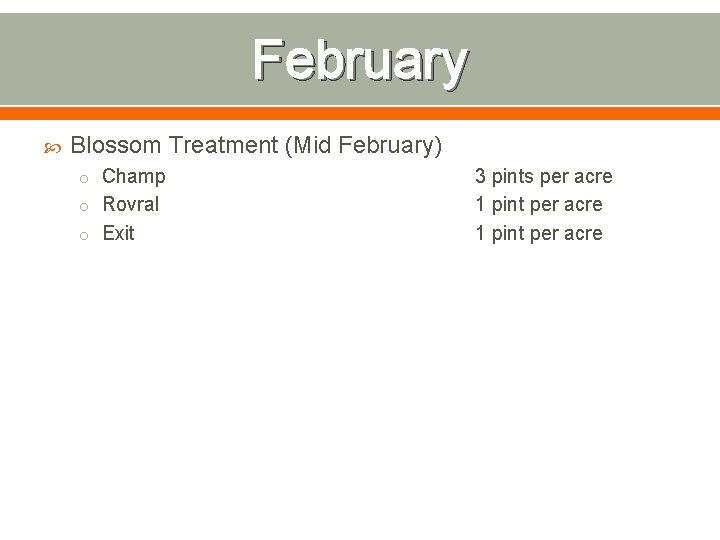 February Blossom Treatment (Mid February) o Champ o Rovral o Exit 3 pints per