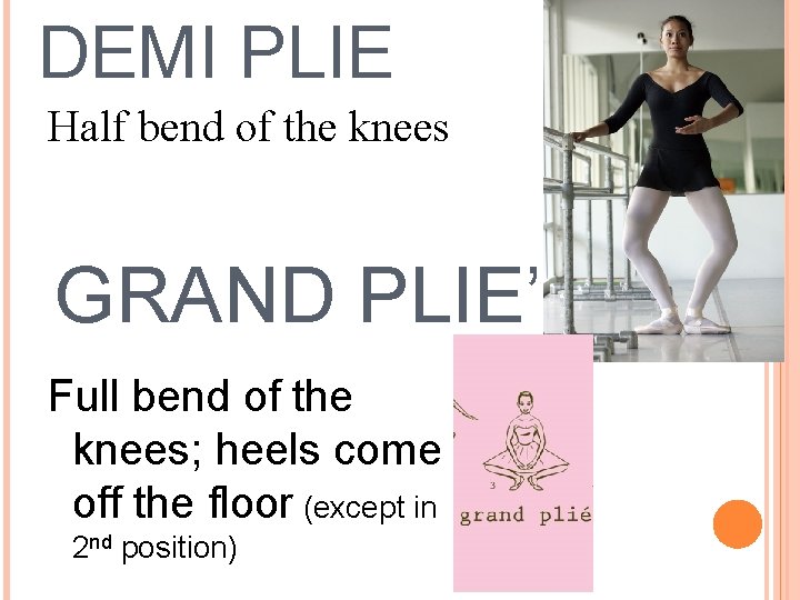 DEMI PLIE Half bend of the knees GRAND PLIE’ Full bend of the knees;