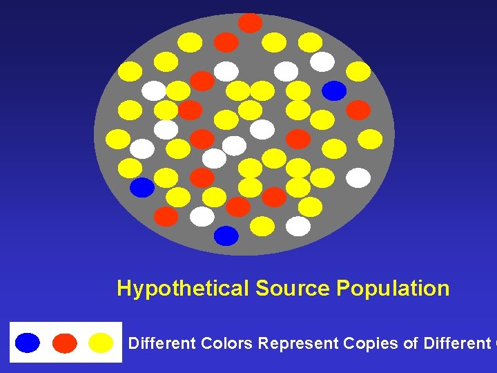 Hypothetical Source Population Different Colors Represent Copies of Different G 