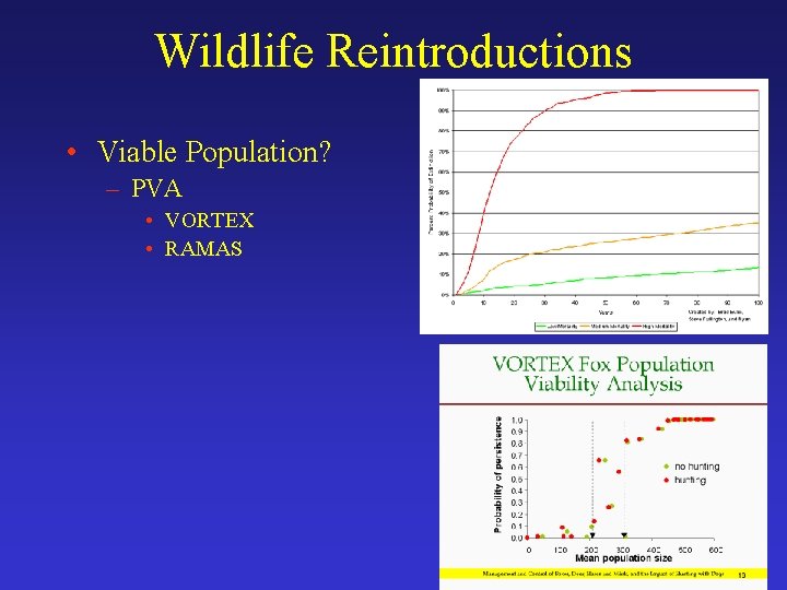 Wildlife Reintroductions • Viable Population? – PVA • VORTEX • RAMAS 