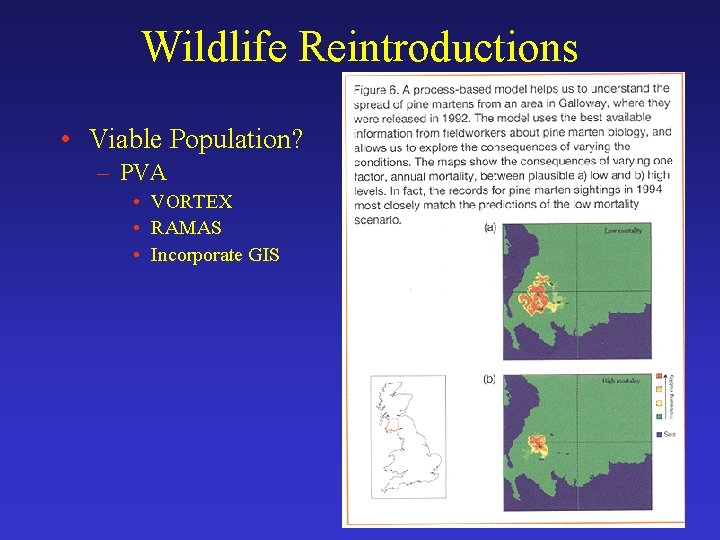 Wildlife Reintroductions • Viable Population? – PVA • VORTEX • RAMAS • Incorporate GIS