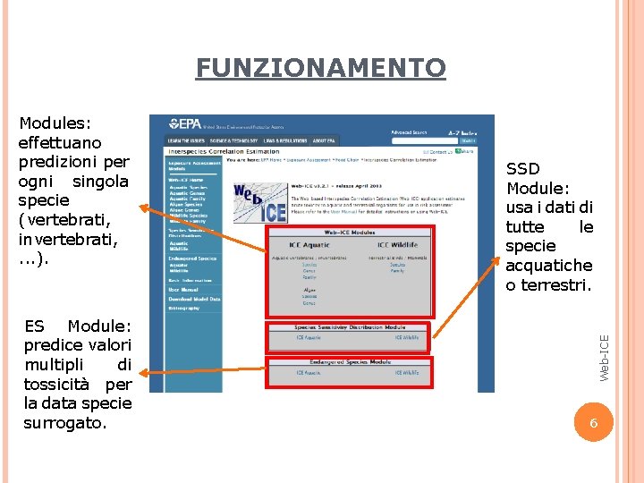 FUNZIONAMENTO ES Module: predice valori multipli di tossicità per la data specie surrogato. SSD FUNZIONAMENTO ES Module: predice valori multipli di tossicità per la data specie surrogato. SSD