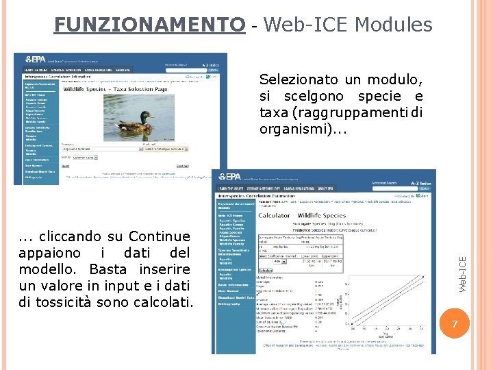 FUNZIONAMENTO - Web-ICE Modules . . . cliccando su Continue appaiono i dati del FUNZIONAMENTO - Web-ICE Modules . . . cliccando su Continue appaiono i dati del