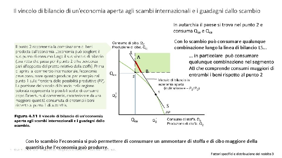 Con lo scambio può consumare qualunque combinazione lungo la linea di bilancio LS. .