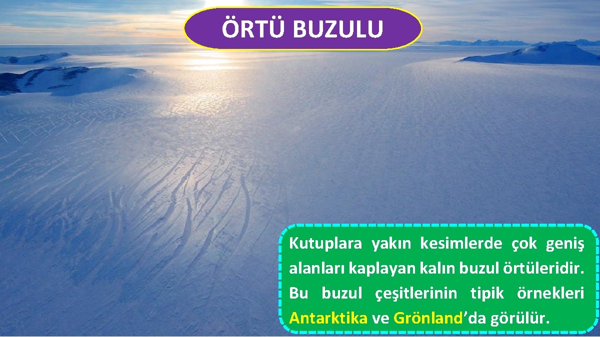 ÖRTÜ BUZULU Kutuplara yakın kesimlerde çok geniş alanları kaplayan kalın buzul örtüleridir. Bu buzul