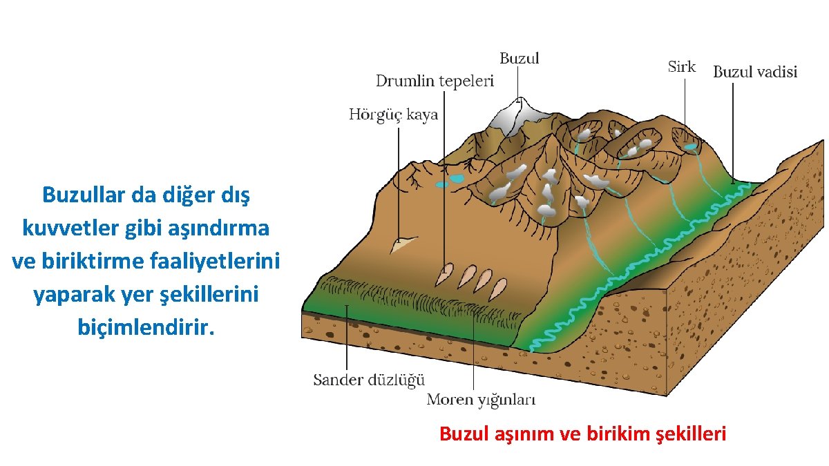 Buzullar da diğer dış kuvvetler gibi aşındırma ve biriktirme faaliyetlerini yaparak yer şekillerini biçimlendirir.