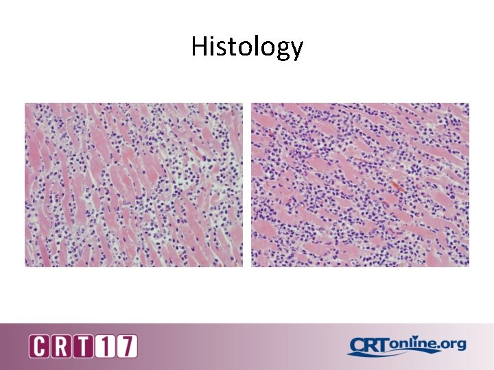 Histology 
