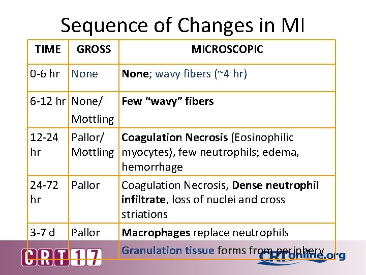Sequence of Changes in MI TIME GROSS 0 -6 hr None MICROSCOPIC None; wavy