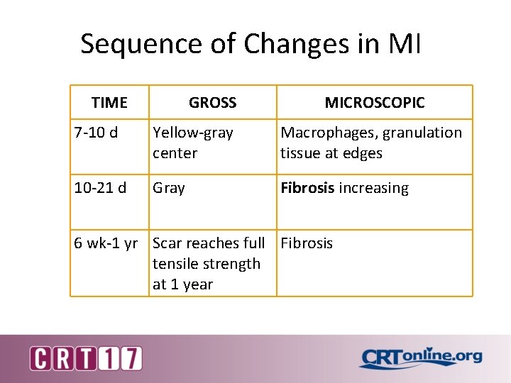 Sequence of Changes in MI TIME GROSS MICROSCOPIC 7 -10 d Yellow-gray center Macrophages,