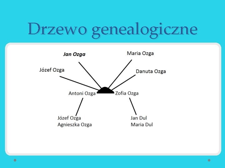 Drzewo genealogiczne 