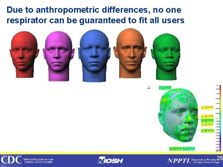 Due to anthropometric differences, no one respirator can be guaranteed to fit all users