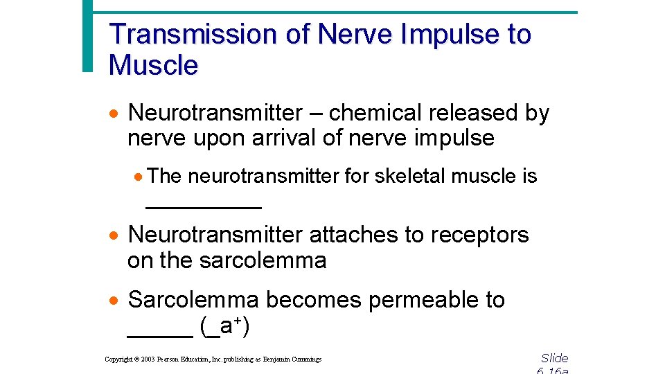 Transmission of Nerve Impulse to Muscle · Neurotransmitter – chemical released by nerve upon