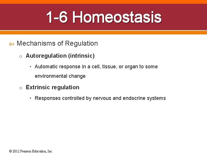 1 -6 Homeostasis Mechanisms of Regulation o Autoregulation (intrinsic) • Automatic response in a