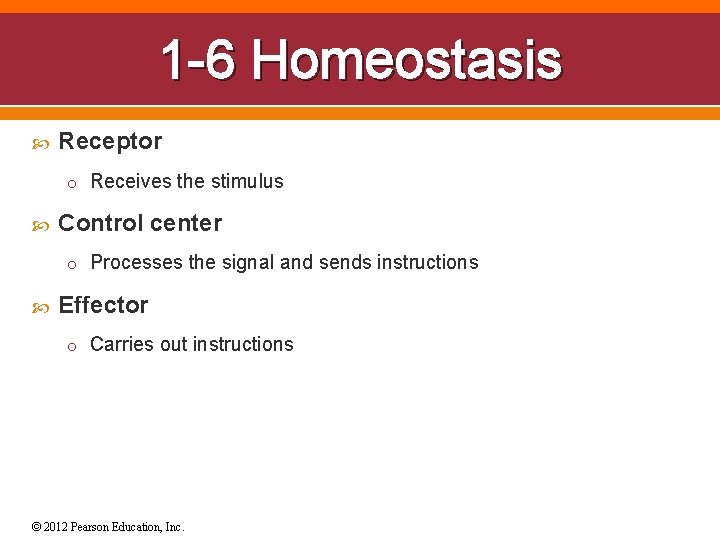 1 -6 Homeostasis Receptor o Receives the stimulus Control center o Processes the signal