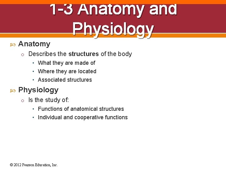 1 -3 Anatomy and Physiology Anatomy o Describes the structures of the body •