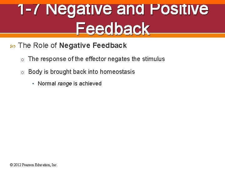 1 -7 Negative and Positive Feedback The Role of Negative Feedback o The response