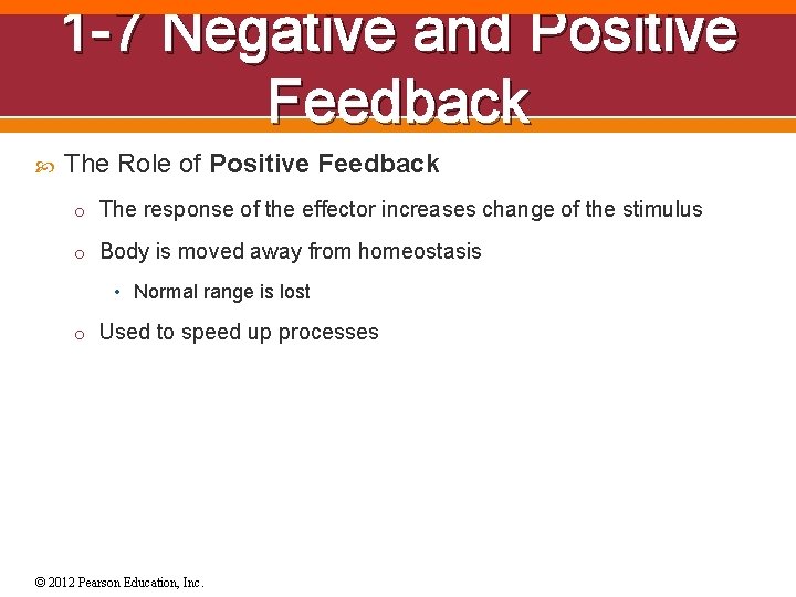 1 -7 Negative and Positive Feedback The Role of Positive Feedback o The response