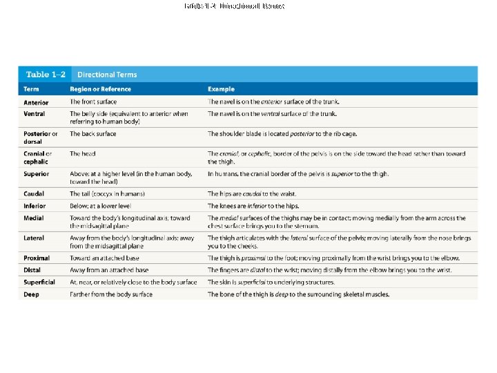Table 1 -2 Directional Terms 