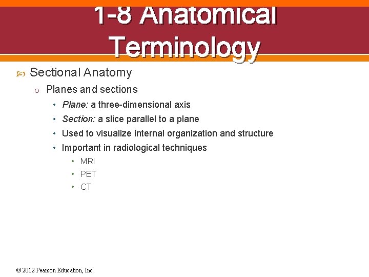 1 -8 Anatomical Terminology Sectional Anatomy o Planes and sections • Plane: a three-dimensional