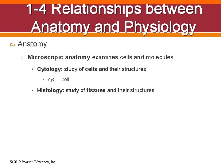 1 -4 Relationships between Anatomy and Physiology Anatomy o Microscopic anatomy examines cells and
