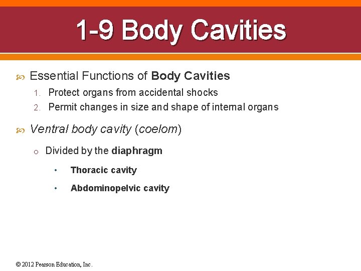 1 -9 Body Cavities Essential Functions of Body Cavities 1. Protect organs from accidental