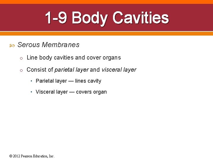 1 -9 Body Cavities Serous Membranes o Line body cavities and cover organs o