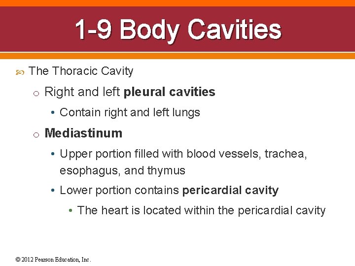 1 -9 Body Cavities The Thoracic Cavity o Right and left pleural cavities •