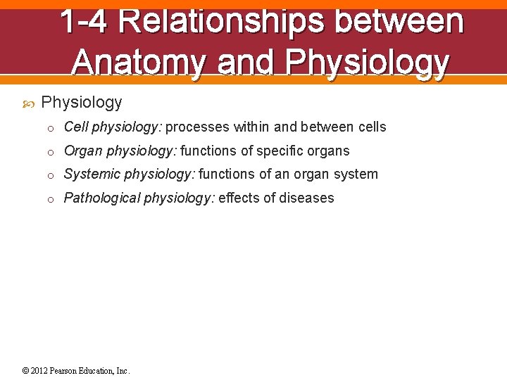 1 -4 Relationships between Anatomy and Physiology o Cell physiology: processes within and between