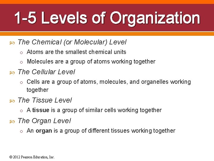 1 -5 Levels of Organization The Chemical (or Molecular) Level o Atoms are the
