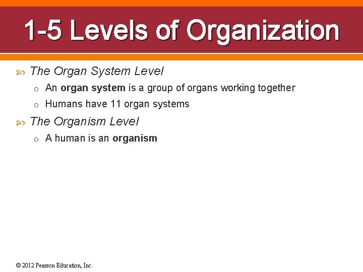 1 -5 Levels of Organization The Organ System Level o An organ system is