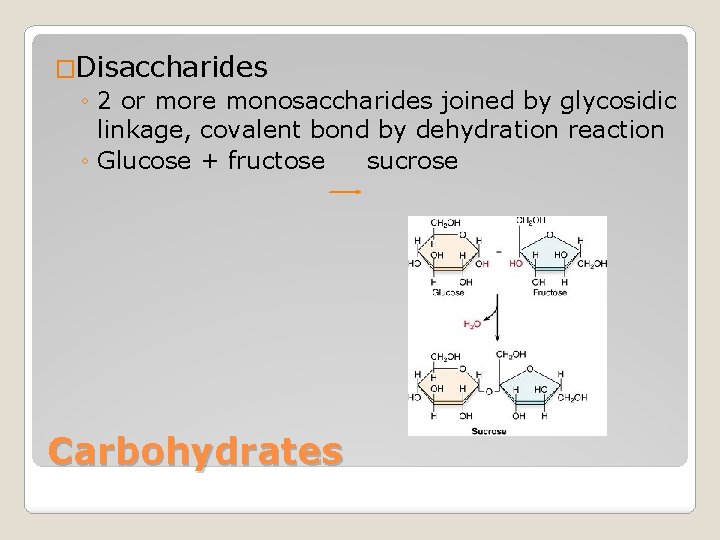 �Disaccharides ◦ 2 or more monosaccharides joined by glycosidic linkage, covalent bond by dehydration