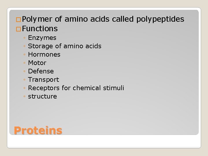 �Polymer of amino acids called polypeptides �Functions ◦ ◦ ◦ ◦ Enzymes Storage of