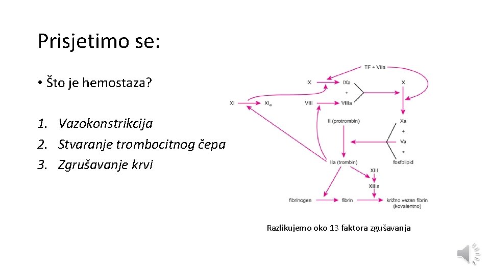 Prisjetimo se: • Što je hemostaza? 1. Vazokonstrikcija 2. Stvaranje trombocitnog čepa 3. Zgrušavanje