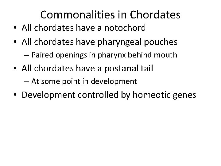 Commonalities in Chordates • All chordates have a notochord • All chordates have pharyngeal