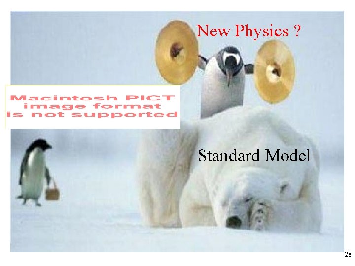 New Physics ? Standard Model 28 