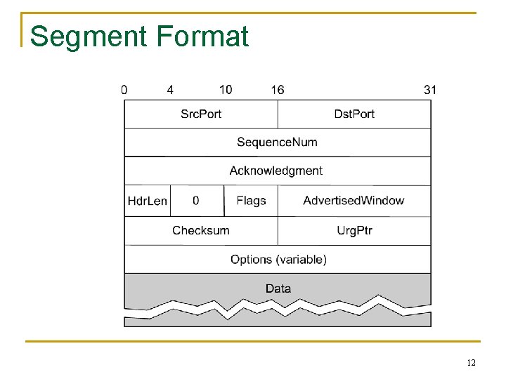 Segment Format 12 