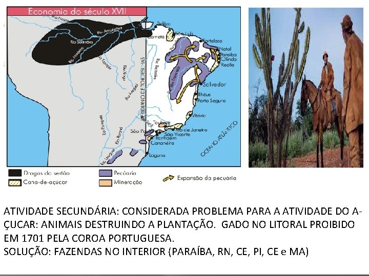 A a ATIVIDADE SECUNDÁRIA: CONSIDERADA PROBLEMA PARA A ATIVIDADE DO AÇUCAR: ANIMAIS DESTRUINDO A