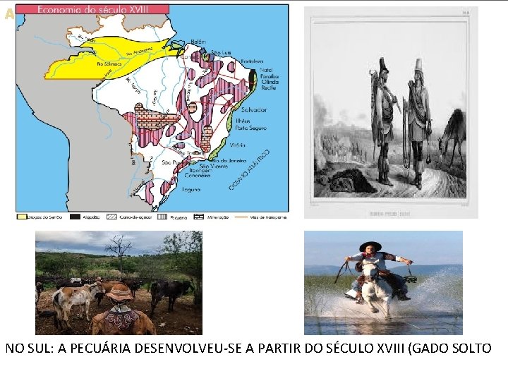 A NO SUL: A PECUÁRIA DESENVOLVEU-SE A PARTIR DO SÉCULO XVIII (GADO SOLTO 