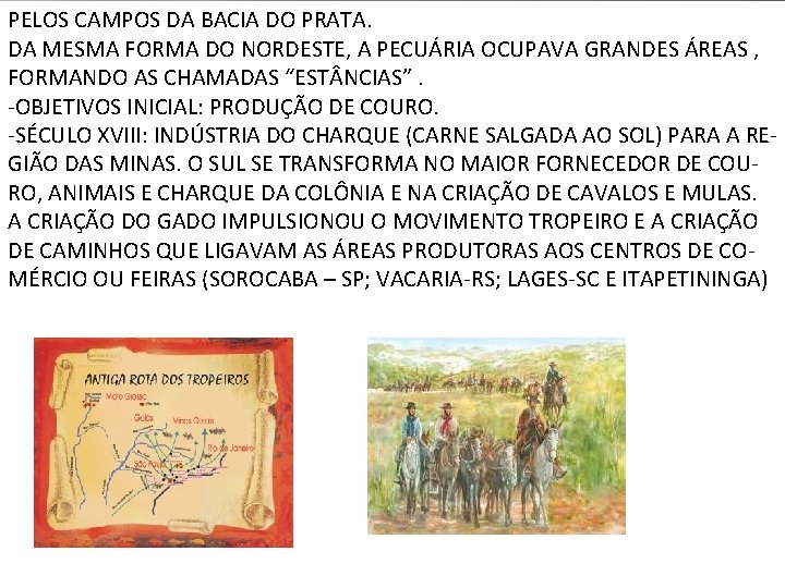 PELOS CAMPOS DA BACIA DO PRATA. DA MESMA FORMA DO NORDESTE, A PECUÁRIA OCUPAVA