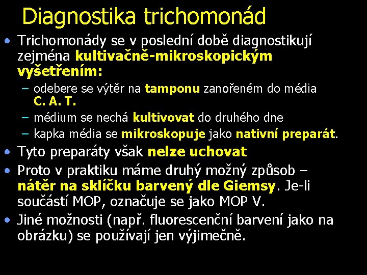 Diagnostika trichomonád • Trichomonády se v poslední době diagnostikují zejména kultivačně-mikroskopickým vyšetřením: – odebere
