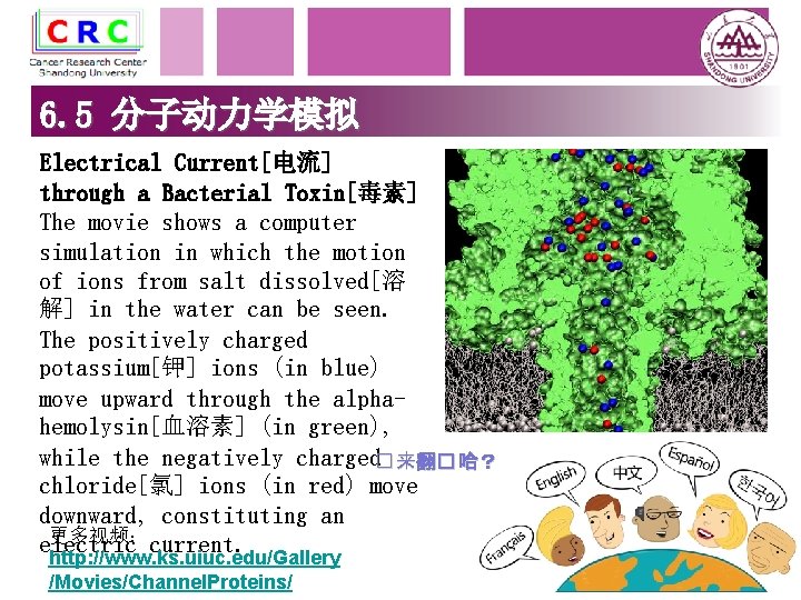 6. 5 分子动力学模拟 Electrical Current[电流] through a Bacterial Toxin[毒素] The movie shows a computer