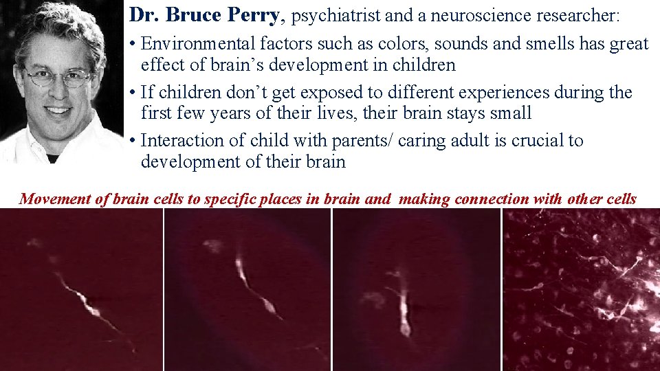Dr. Bruce Perry, psychiatrist and a neuroscience researcher: • Environmental factors such as colors,