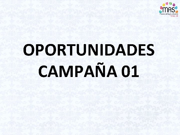 OPORTUNIDADES CAMPAÑA 01 