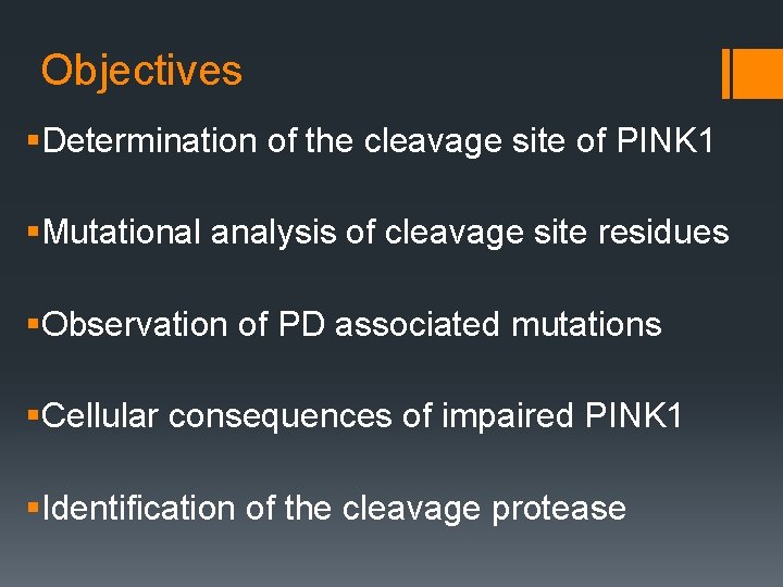 PINK 1 cleavage at position A 103 by