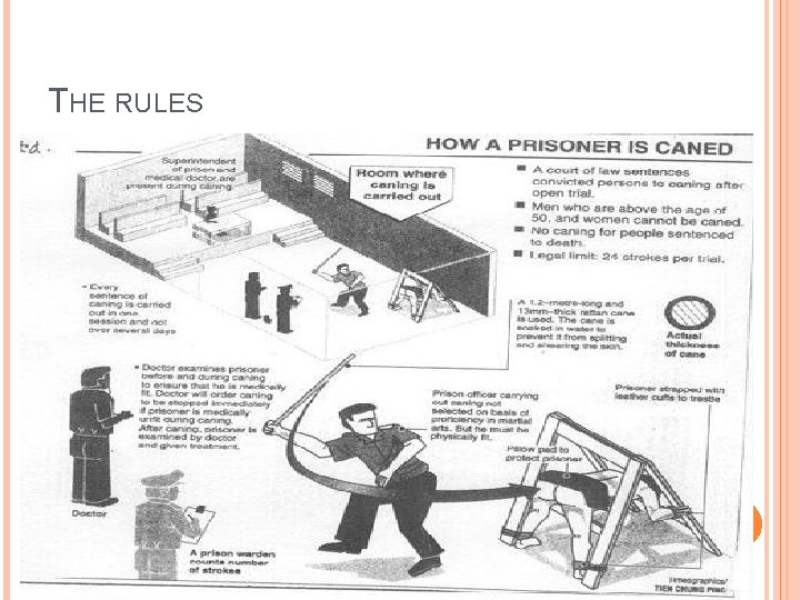 THE RULES 